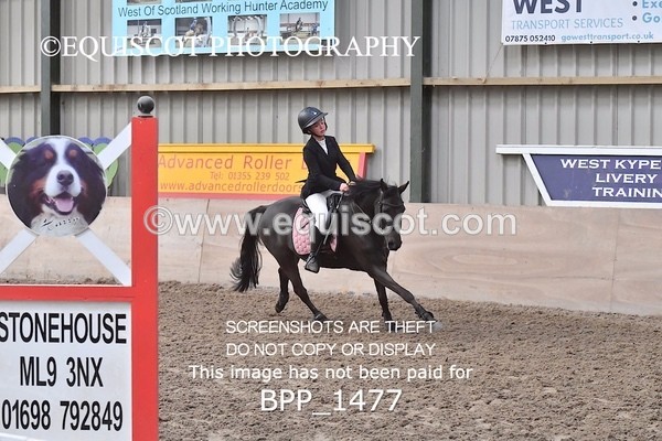 BPP_1477 - CLASS 4 Springboard 128cm/ 138cm Restricted Handicap