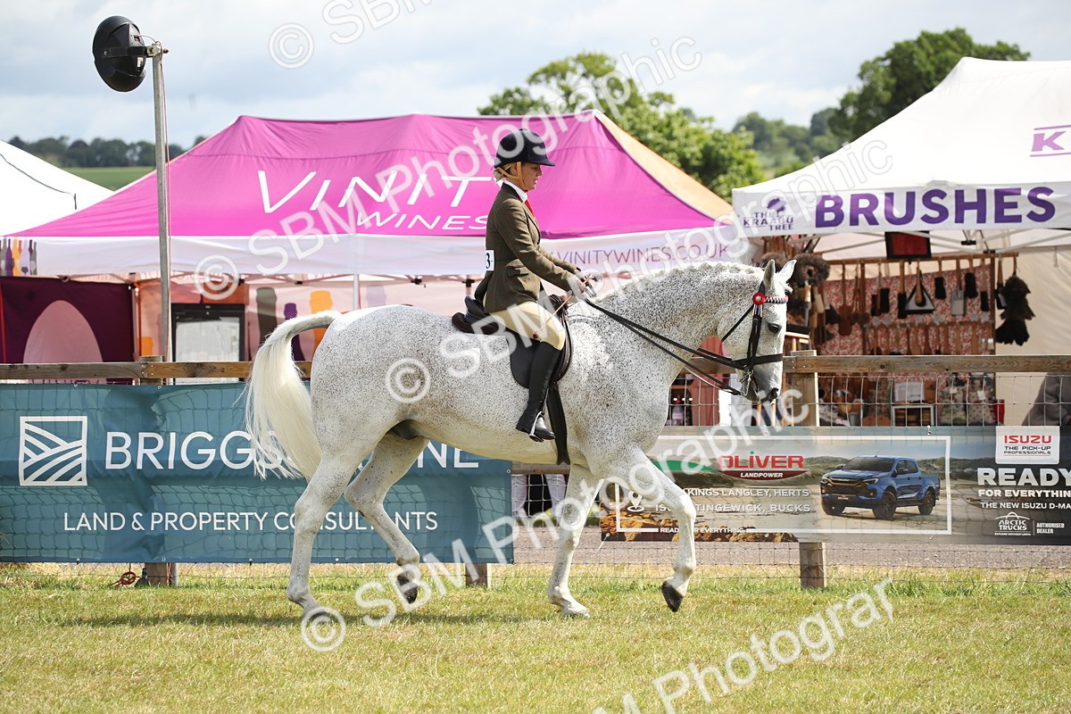 SBM_13194 - Class 95-96 - LIHS BSHA Rising Star Hack Riding Horse