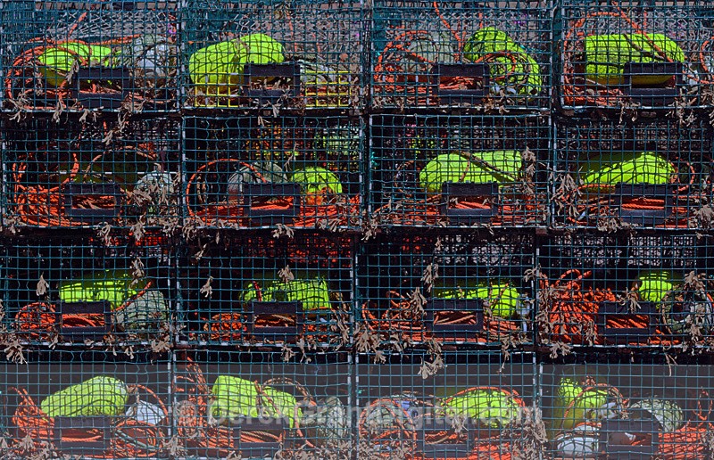 Buoys, Floats & Ropes - Fundy Postcards