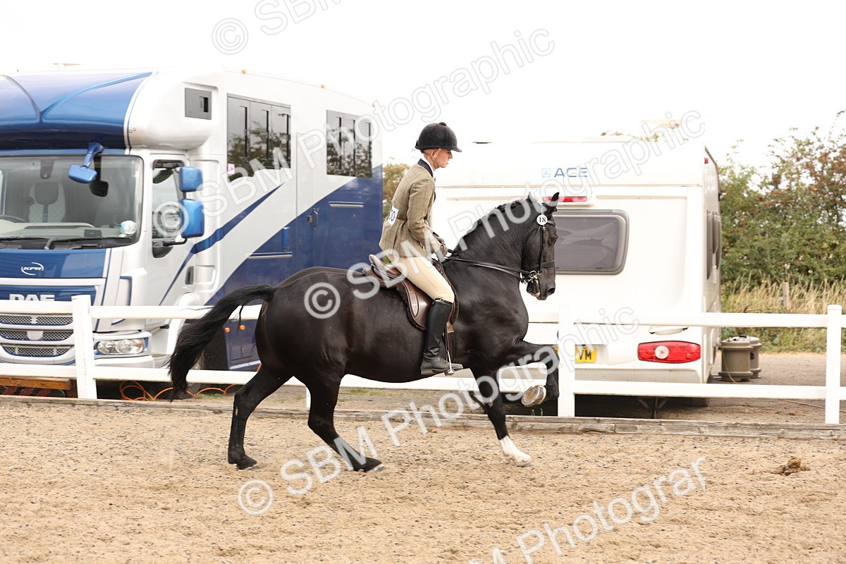 SBM_02814 - Class 53 - Ridden Competition Horse/Pony