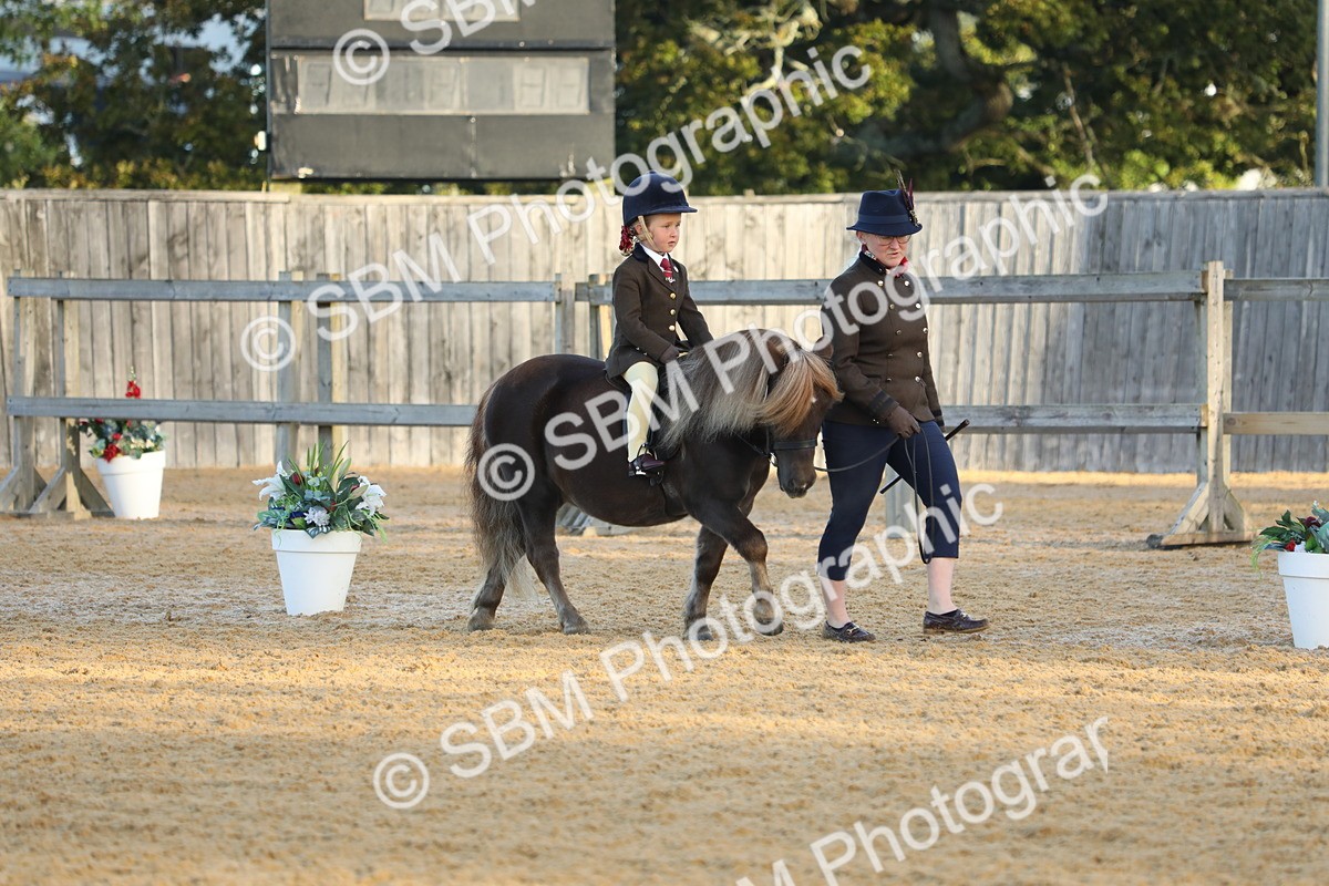 SBM_33525 - D26 - Starers - Lead Rein