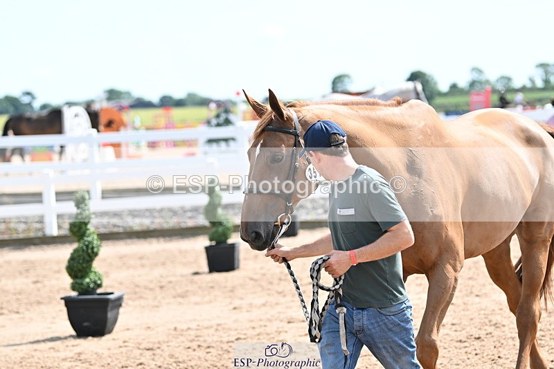 240717A-151927-02755 - Trot Up 3pm to 4pm