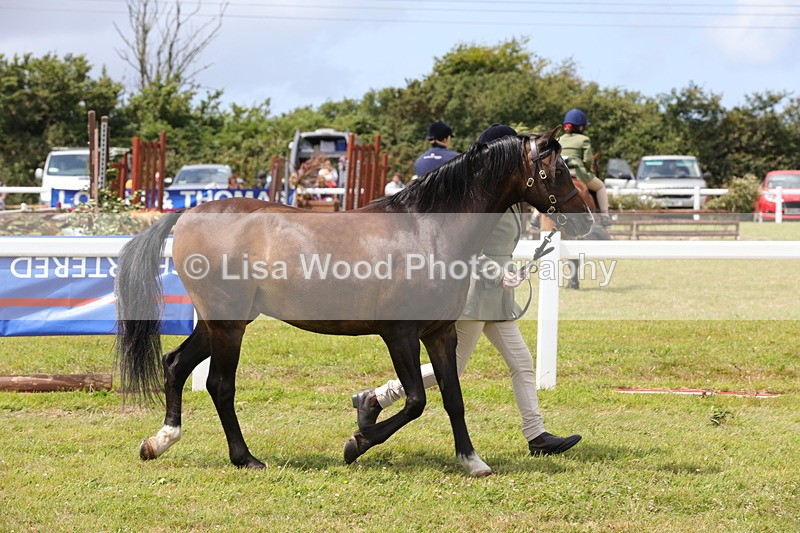 1X9A4715 - Class 35: Veteran In Hand