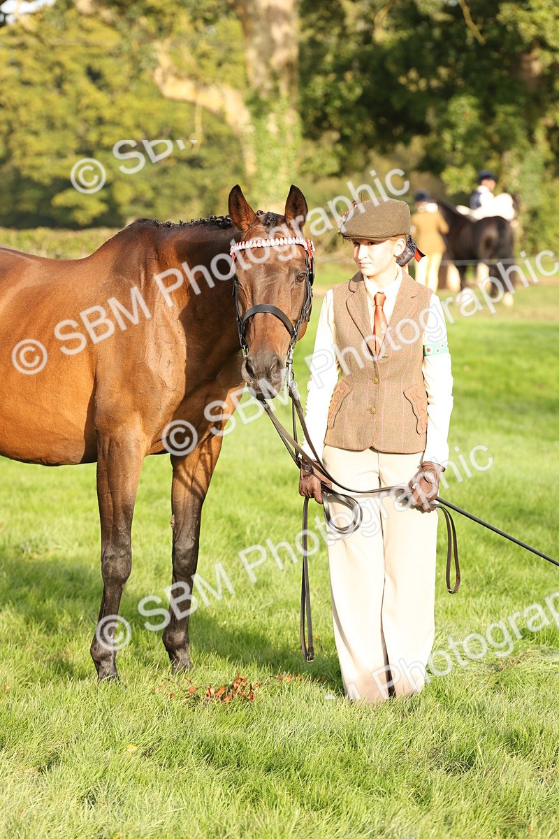 SBM_54974 - S52 - Riding Horse & Hack & thoroughbred In Hand