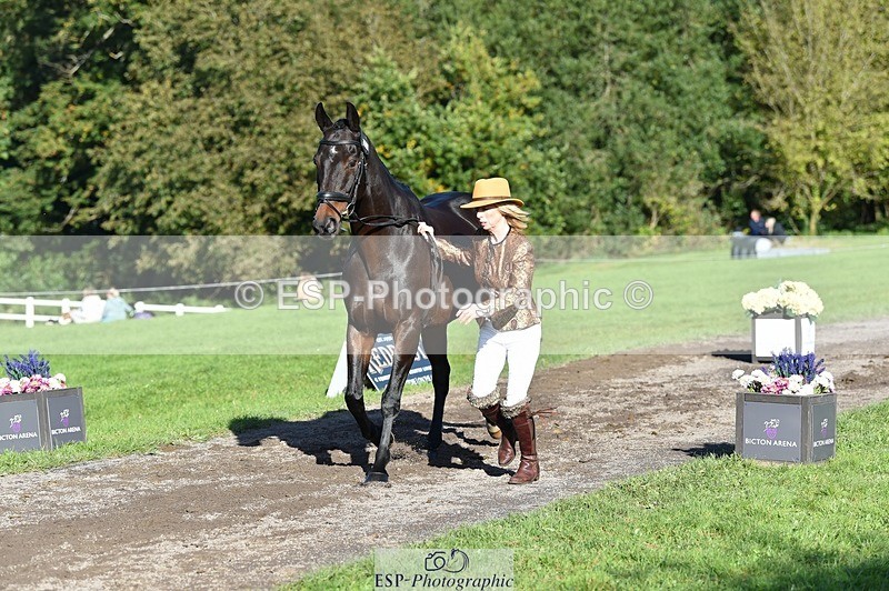 231022-111018-23774 - 465-LANGALLER.ALPHA.BRAVO-Cheryl.Beer-TrotUp+SJ