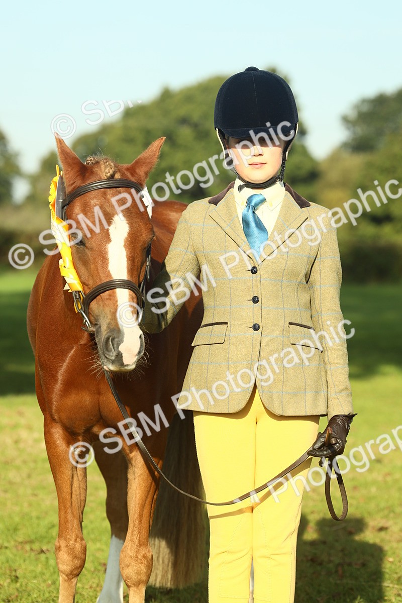 SBM_58493 - S37 - Starters In Hand Showing