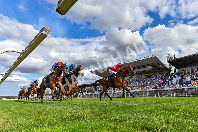 140825-Race 6-Sunny Orange-8869