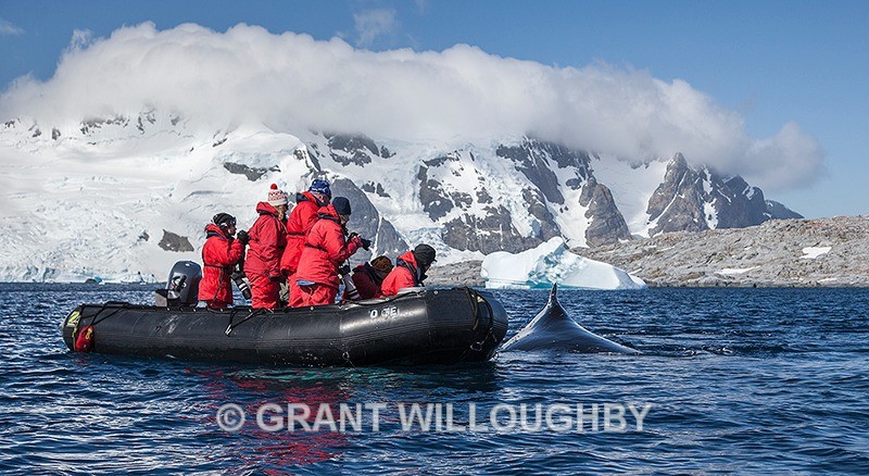 We are going to need a bigger boat! - Antartica