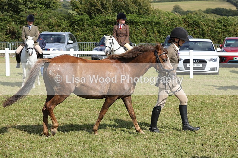 1X9A5816 - Class 40: NPS Welsh A & B