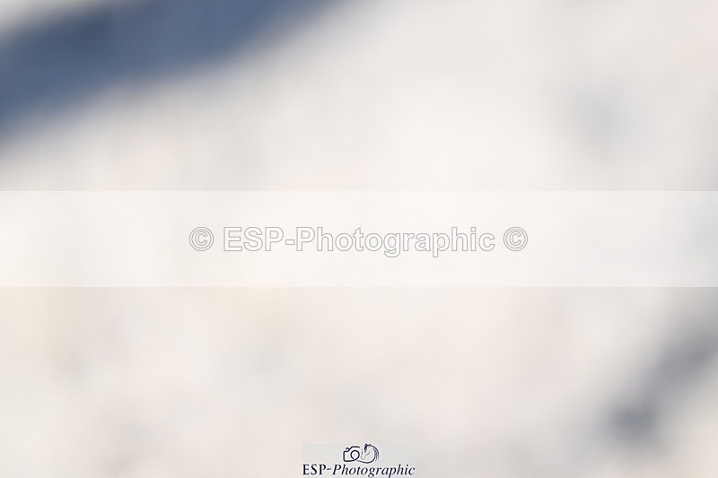 240811-153540-06692 - Inter I Gold