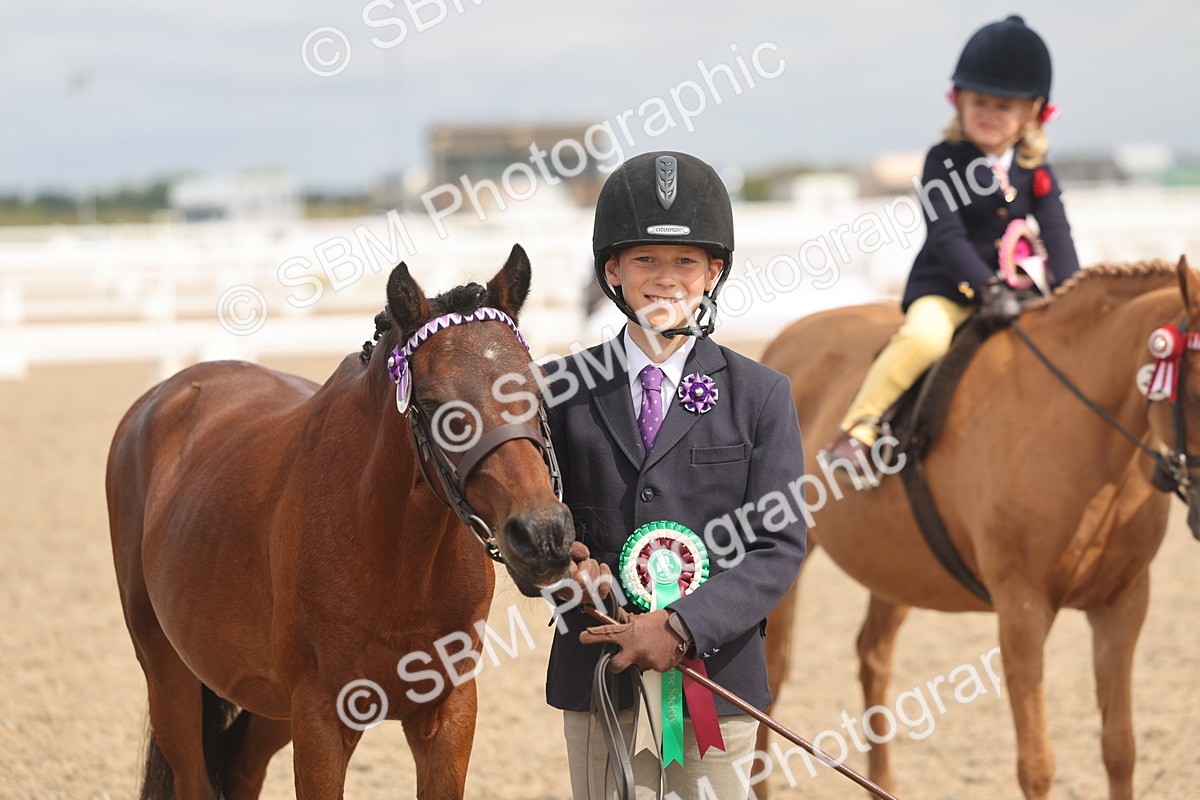 SBM_04587 - Class 19 - Horse/Pony Judge would most like to take home