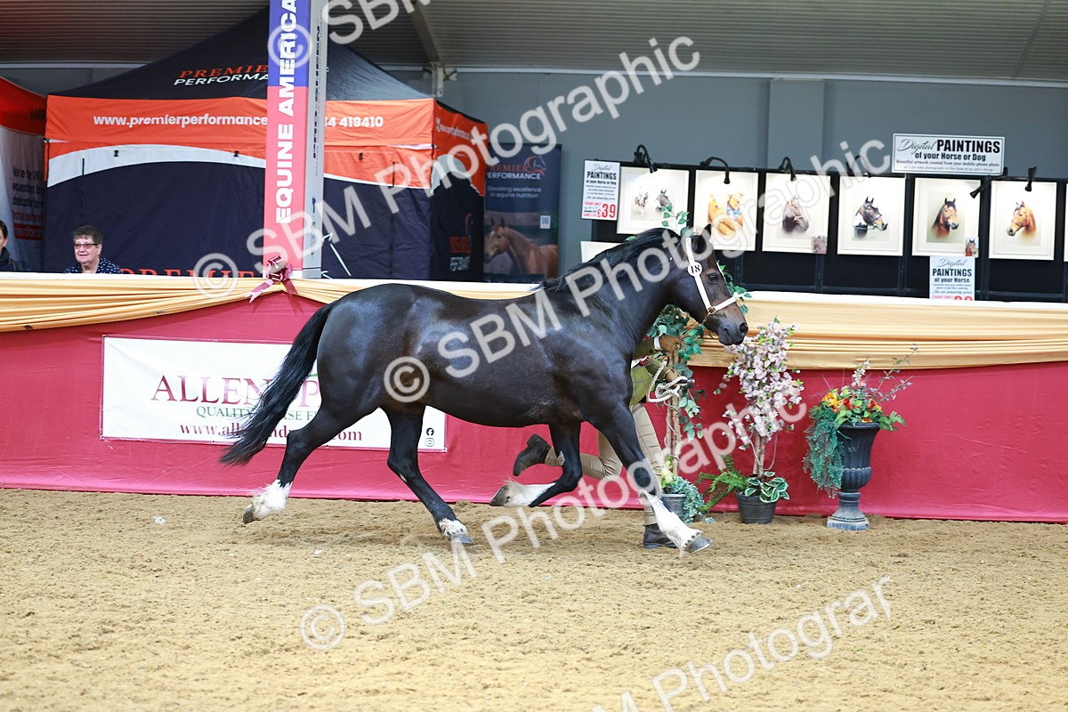 SBM_04373 - Class 9R - IH Pre-Vet