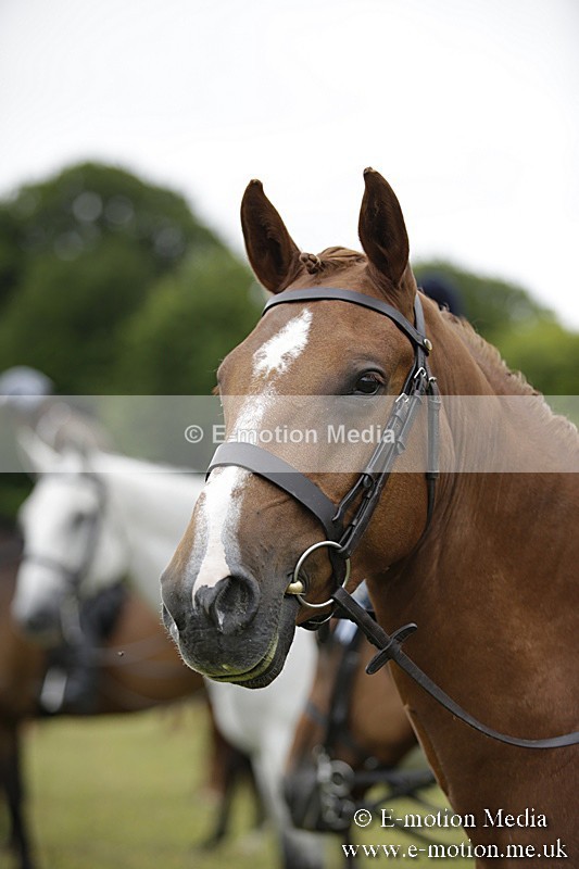 BVR160717-835 - Ring 1 BVRC Show 16/07/17