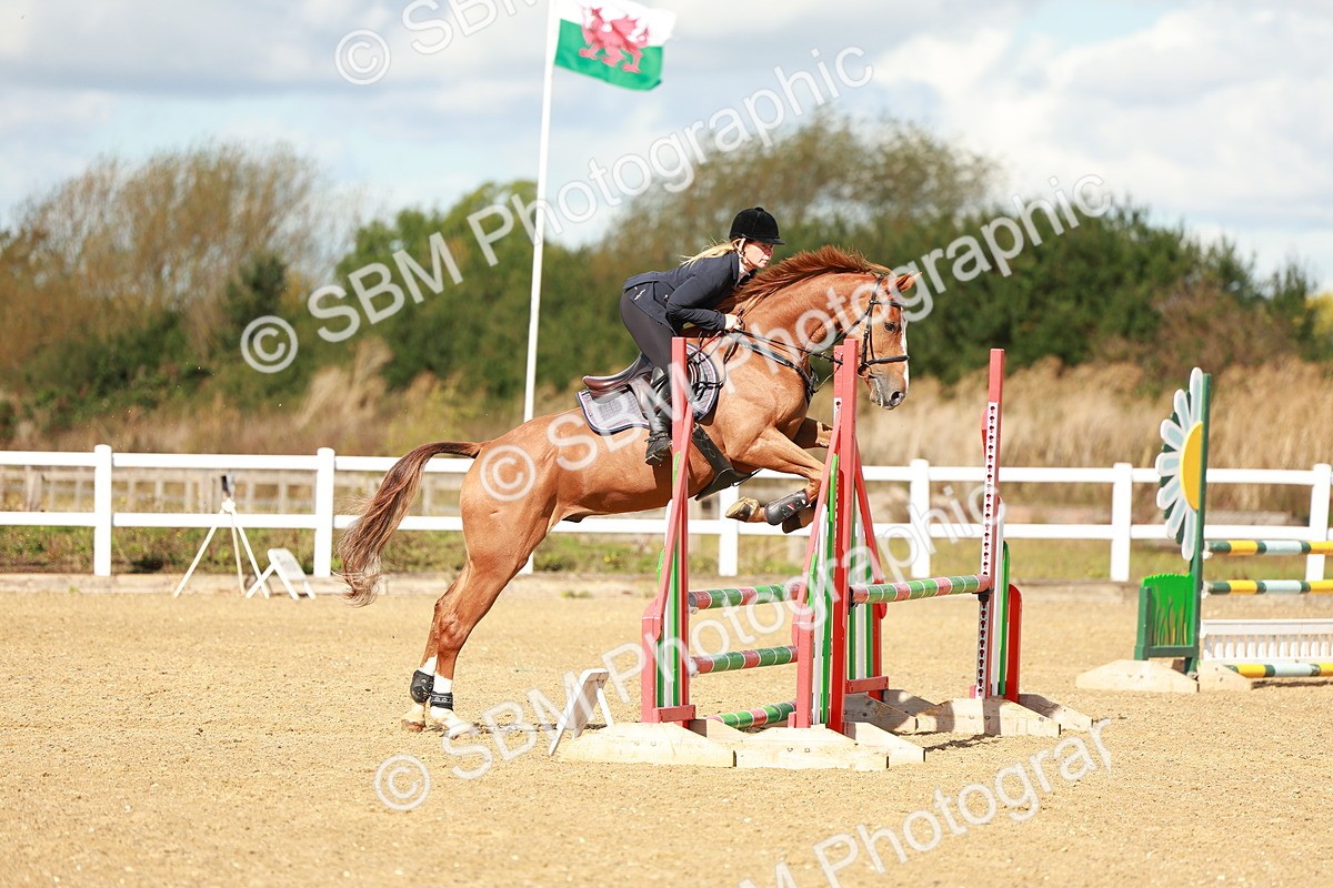 SBM_000561 - Class 2 - Senior British Novice - 90cm