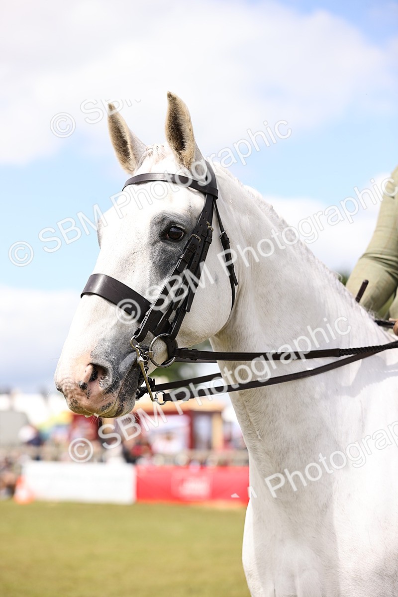 SBM_14699 - Class 88-89 - LIHS BSHA Rising Star of Ridden Hunter Type