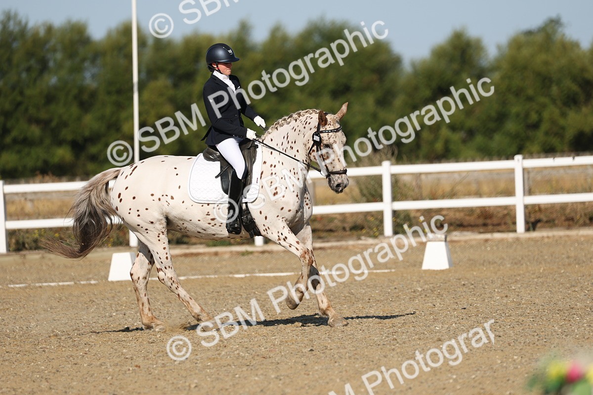 SBM_012674 - Class 1 - P5 Bronze 9.00.10.12