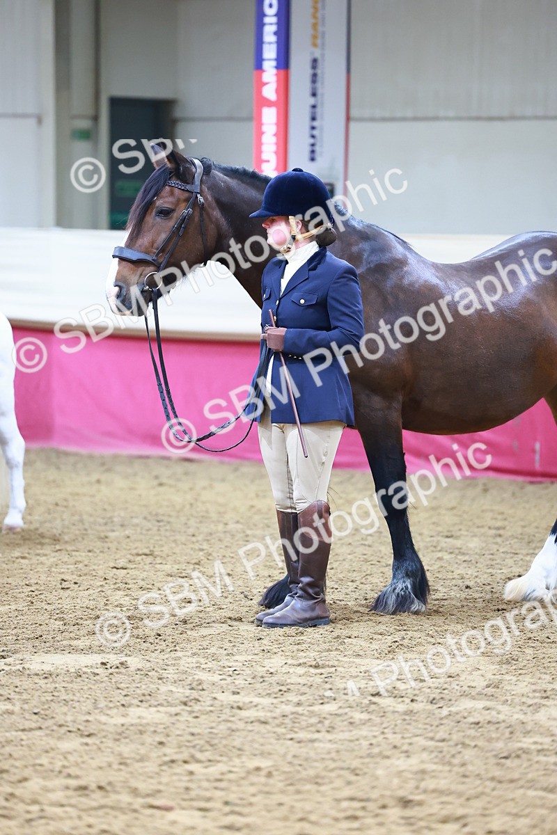 SBM_21808 - Class 901 - Supreme Final - IH  Diamond