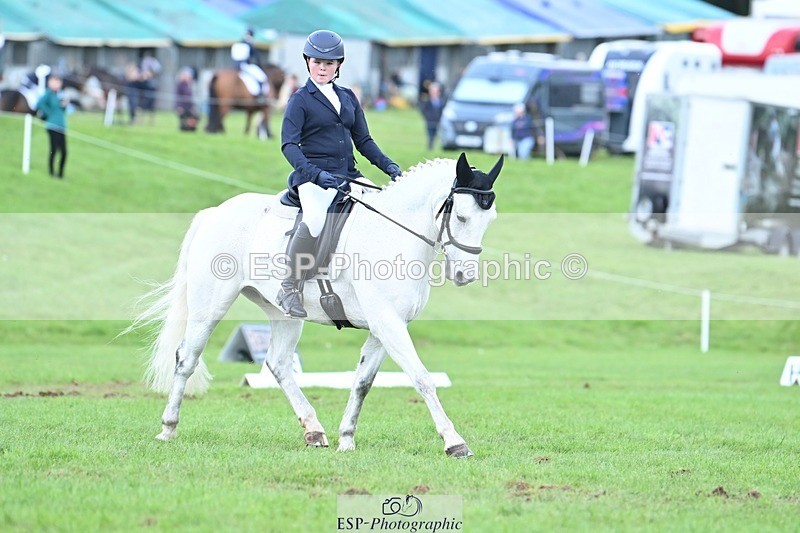 231020-134415-10749 - 659-MACS.BOY-Daisy.Fulton-DR