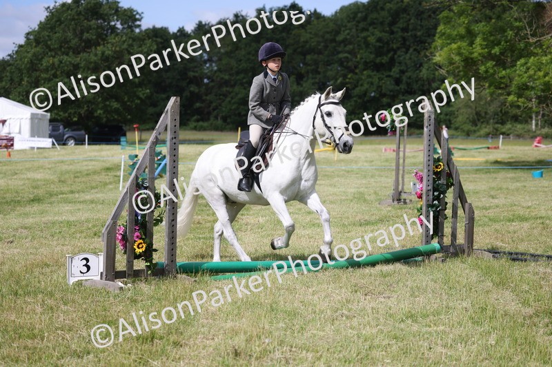 20260614-0538 - Class 20 - Beginners Working Hunter Pony