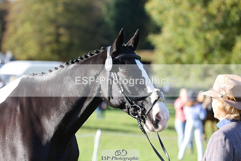 241027-093637-15389 - 454-Judy.Hollidge-CORBETT