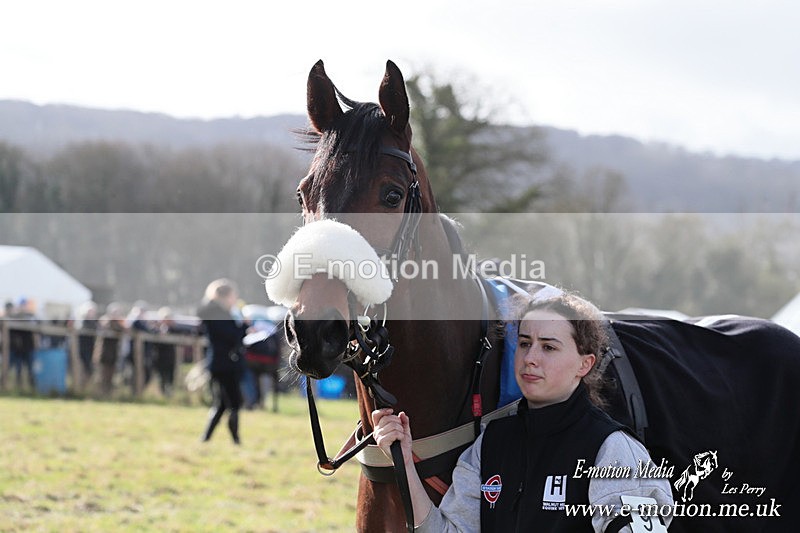 PtP 220225 7 - Kimblewick Point-to-Point  Kingston Blount 22/02/25