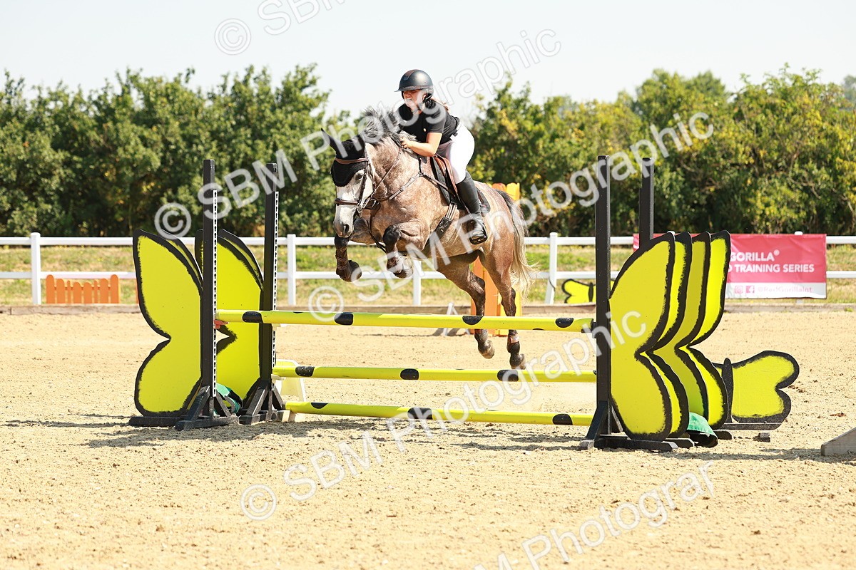 SBM_000238 - Class 2 - Senior British Novice - 90cm