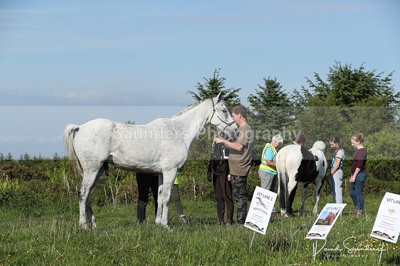SPXX0049 - Friday vetting