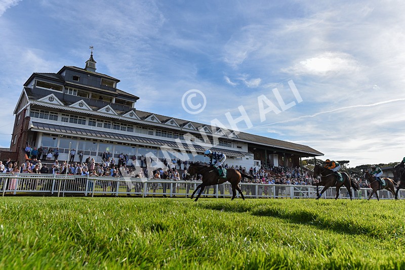 160924-Race 6-Count Palatine-6781 - Race 6