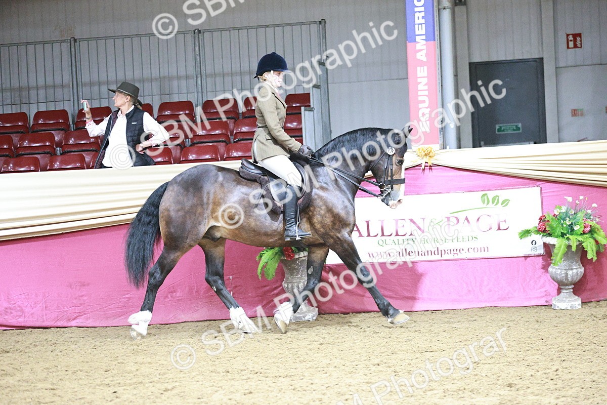 SBM_03340 - Class 6A Area Ridden Pre-Vet
