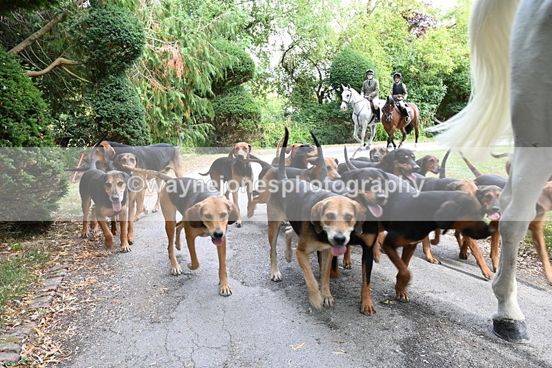 WJ6_3958 - Berks & Bucks - The Old farmhouse - Hound Exercise 20-08-25
