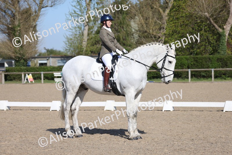 20250405-0243 - Class 11 - My Quest Novice 3