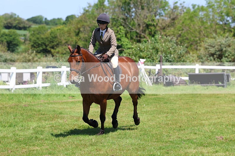 3E7A7281 - Class 30: Novice Working Hunter