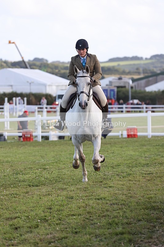 JPP_3544 - Class 22: Working Hunter 90cm