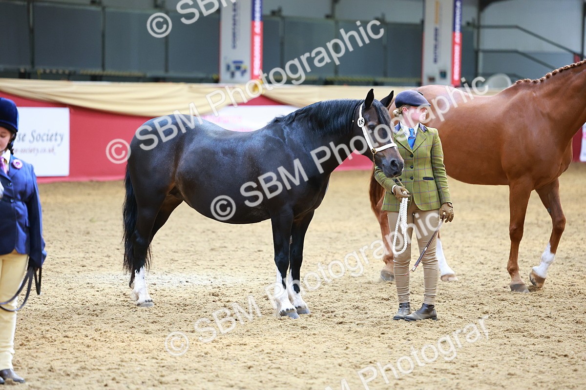 SBM_04284 - Class 9R - IH Pre-Vet