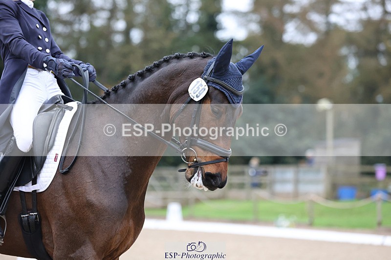 241024-140830-03780 - 159-Eva.Carse-HIDDEN.ECLIPSE