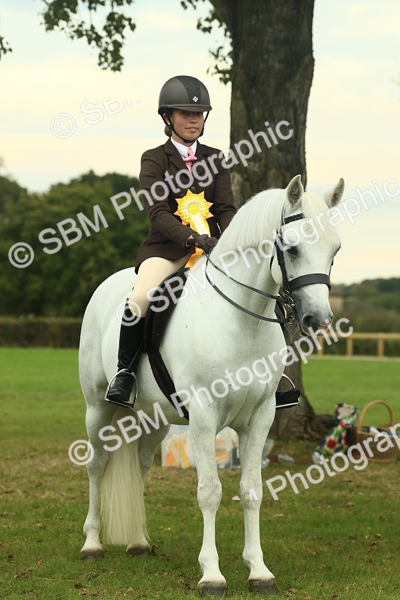 SBM_72328 - S60 - Mountain & Moorland Ridden Large Breeds