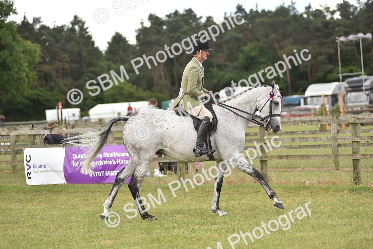 SBM_15147 - Class 113-114 - Retraining of Racehorses Ridden
