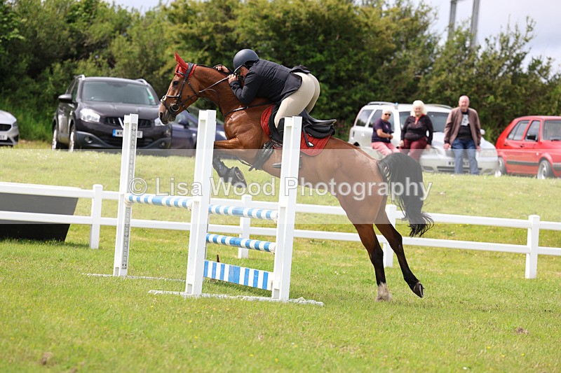 3E7A7734 - Class 13: Senior British Novice/90cm open