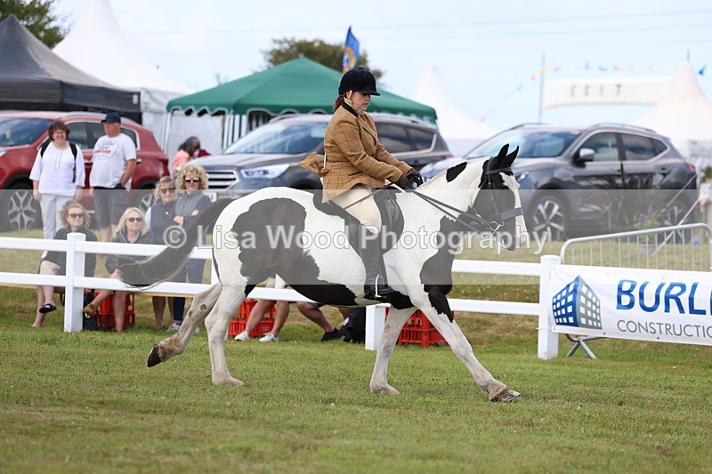 3E7A9703 - Class 5: Rising Star Lightweight/Heavyweight Cobs