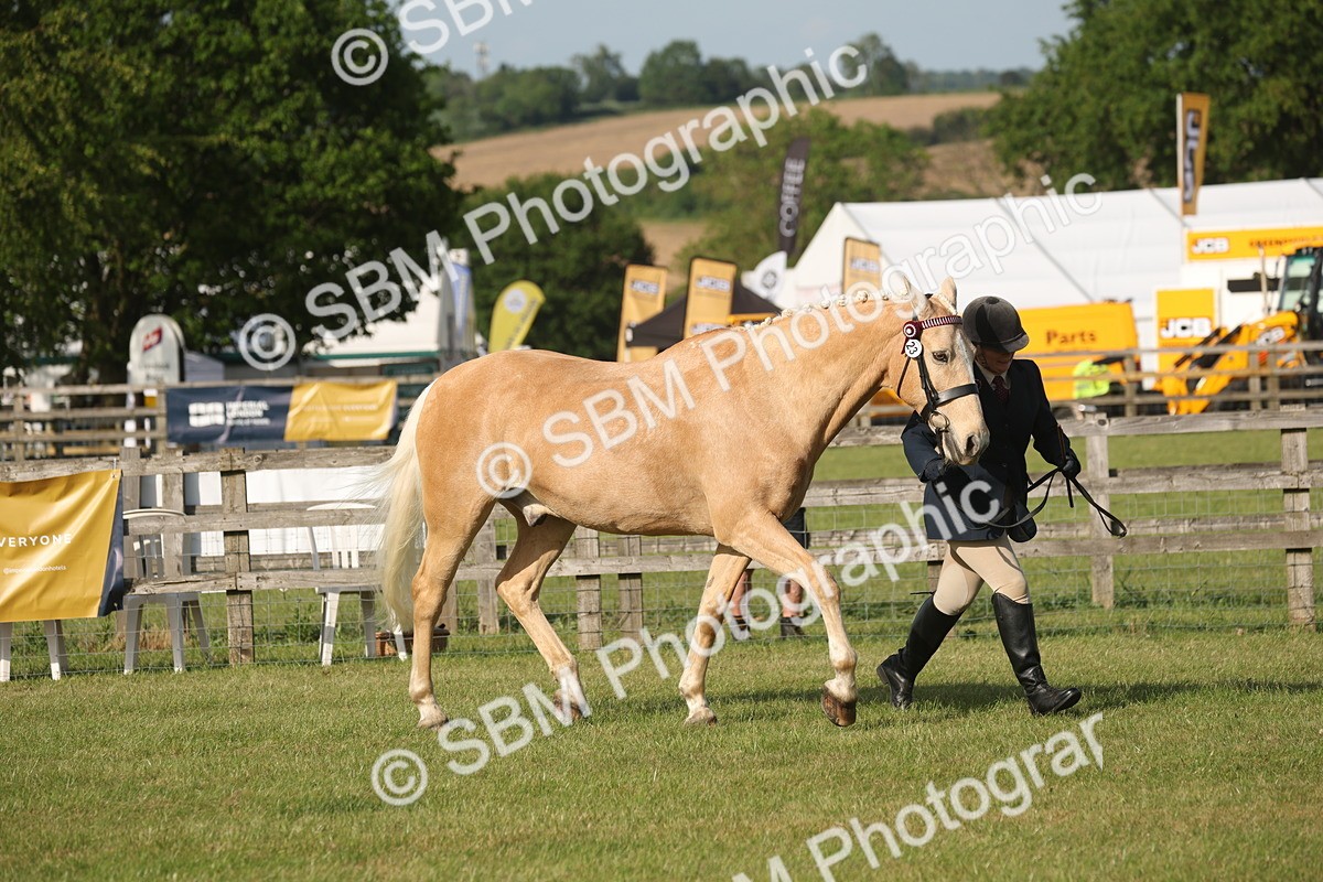 SBM_10499 - Class 33-38 - SSADL RIHS Qualifiers
