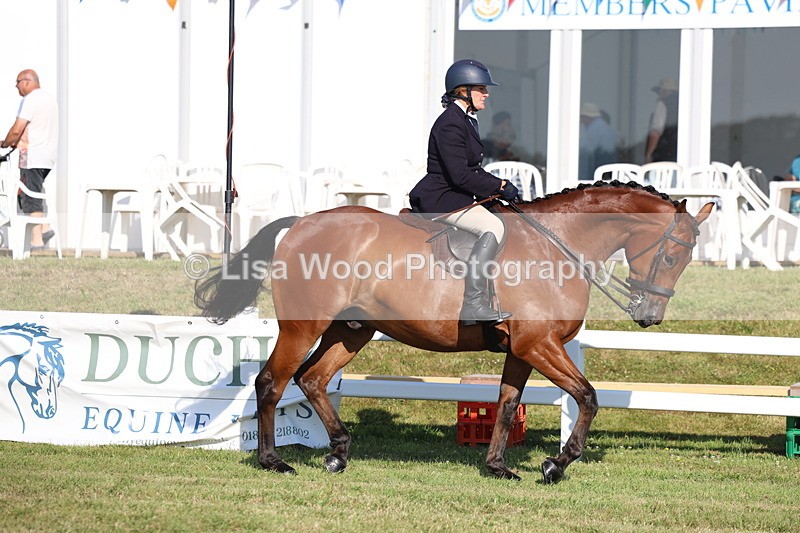 3E7A5280 - Class 2: Rising Star Large Hack/Riding Horse