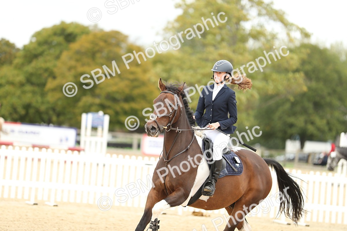 SBM_66003 - J48 - Pairs Jumping Open 70cm & 85cm