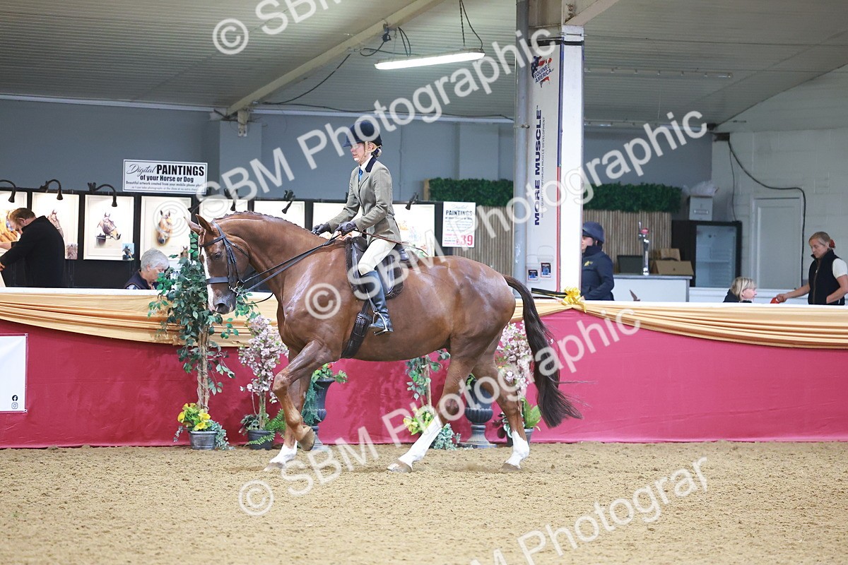 SBM_10659 - Class 103 - HOYS Veteran Qualifier - Ridden Pre Vet
