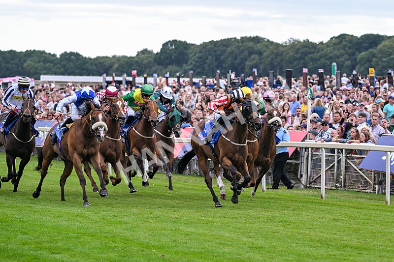 250726-Race 1-Kodiac Thriller-6723 - Race 1 13.30pm Sky Bet 'Jump Jockeys' Nunthorpe' Handicap