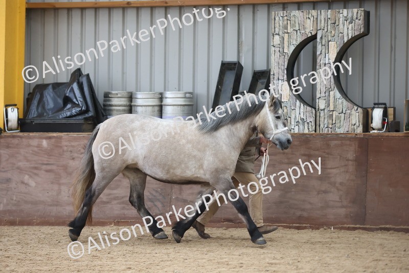 20251109-1212 - Supreme Championship