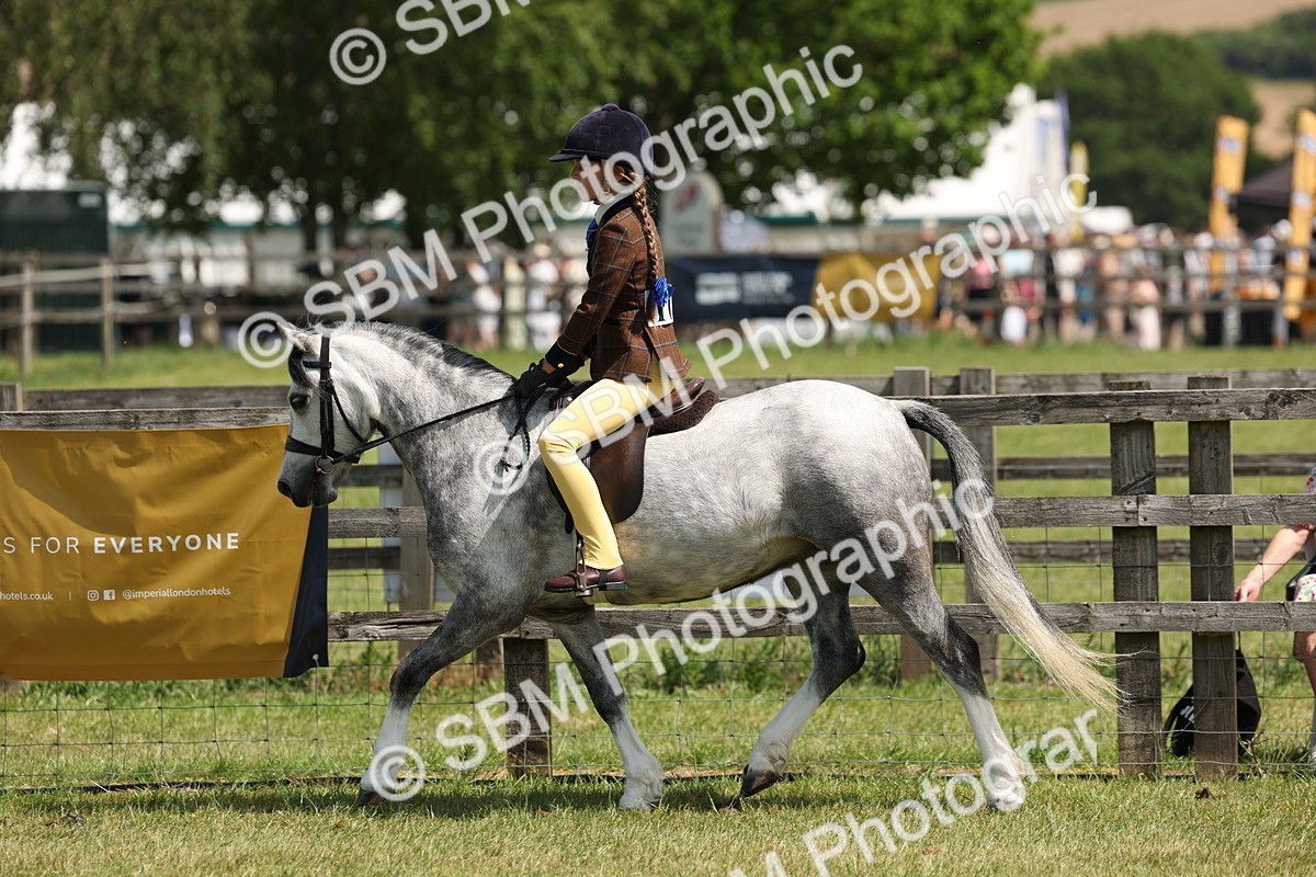 SBM_05340 - Class 24-25 - Mountain & Moorland In Hand Lead Rein and First Ridden
