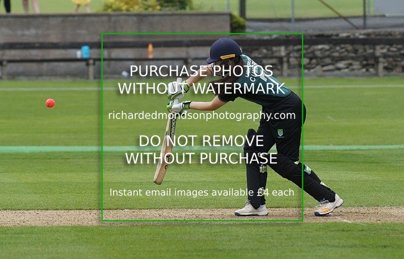 DSC01334 - Cumbria Womans Twenty-20