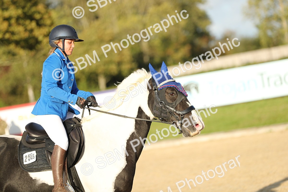 SBM_54203 - J23 - Junior Horse 70cm Championship