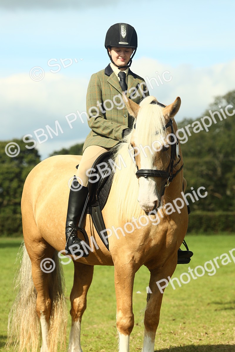 SBM_62684 - S63 - Other Coloured Horse Ridden