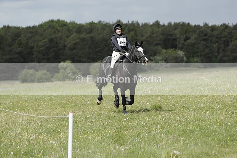 BVHT 140517  NXC -219 - Class 2 XC Novice 14/05/17
